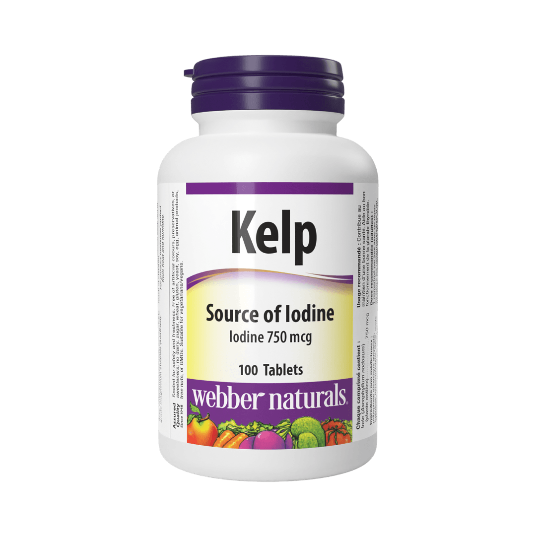 Kelp – obrázok 2